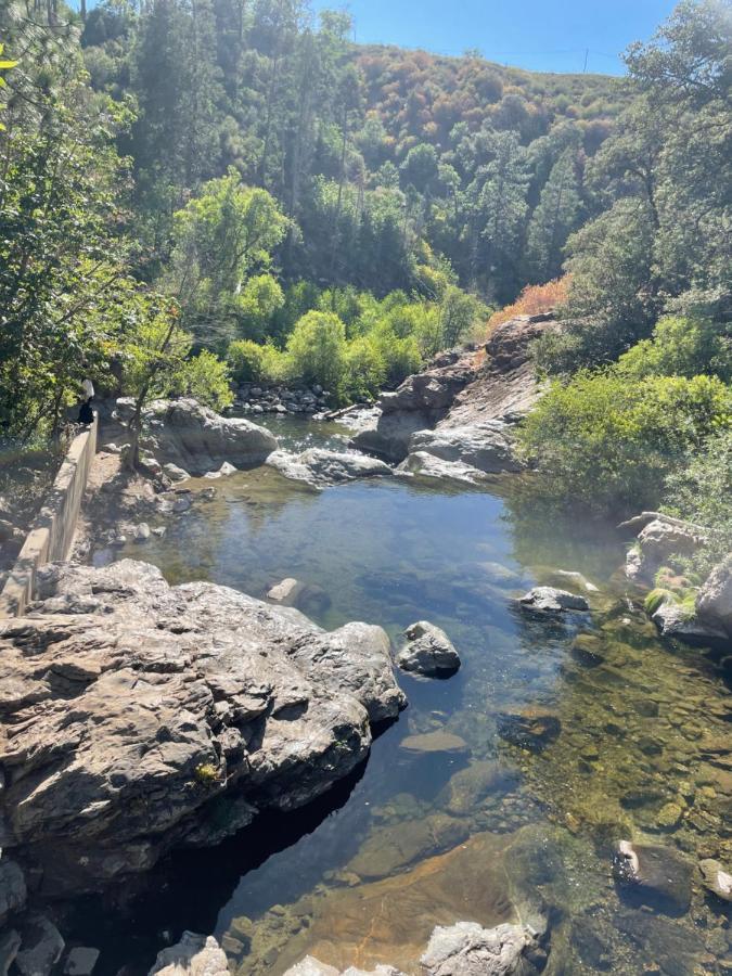 Yosemite Escapes - Pine Mountain Lake Groveland Bagian luar foto